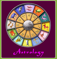 best indian astrologer